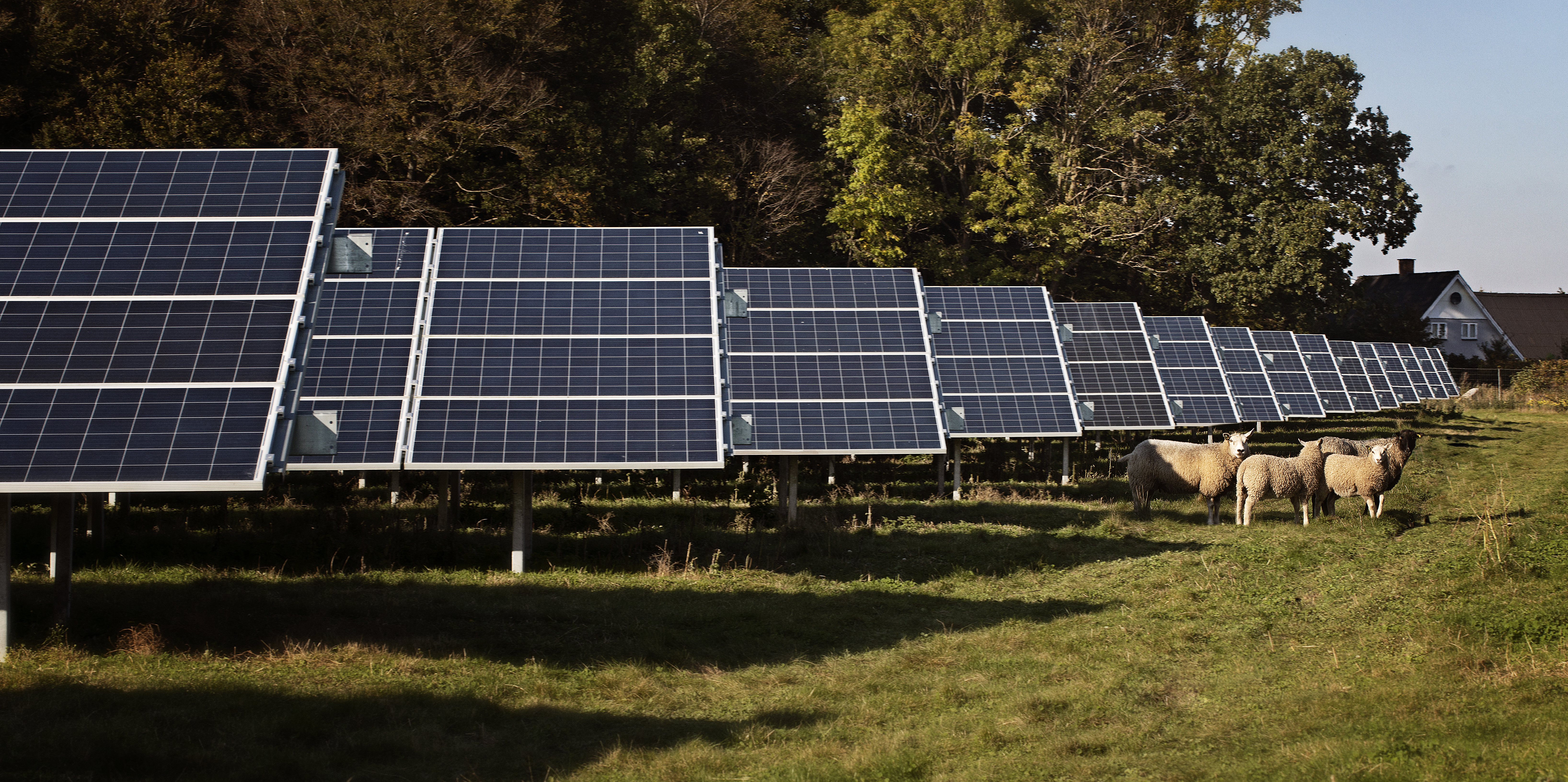 Billede af solceller